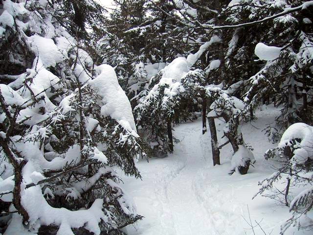 18_welch snow.JPG